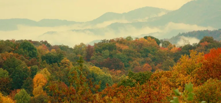 Fall in the Blue Ridge Mountains